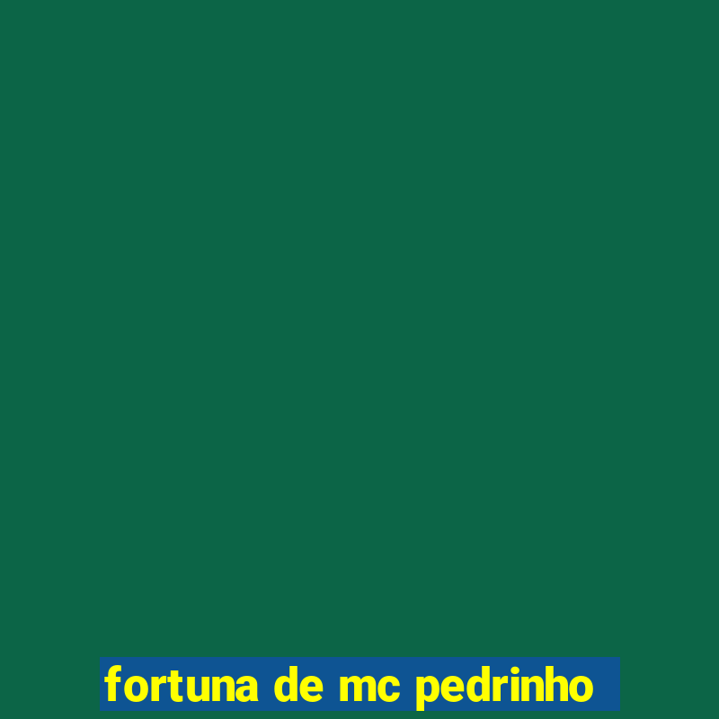 fortuna de mc pedrinho